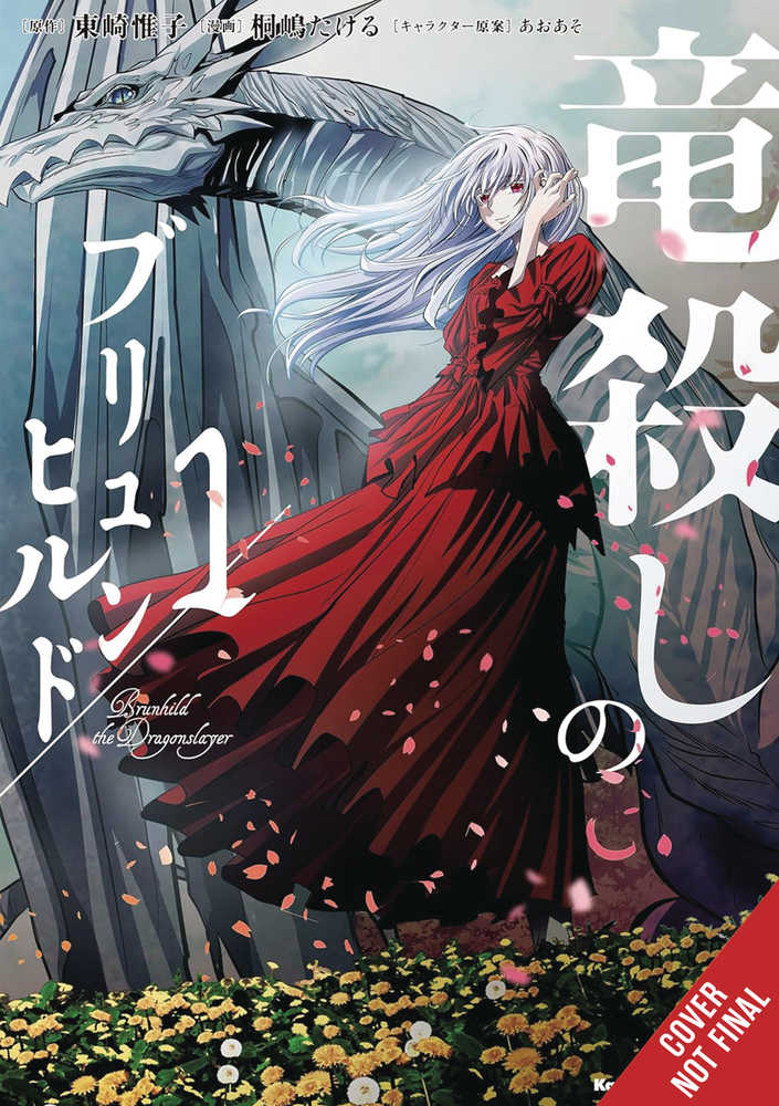 Brunhild The Dragonslayer Graphic Novel Volume 01