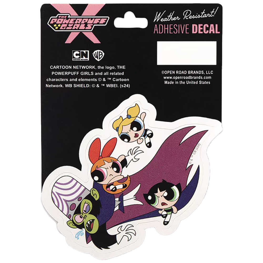 Powerpuff Girls vs Mojo Jojo Adhesive Decal