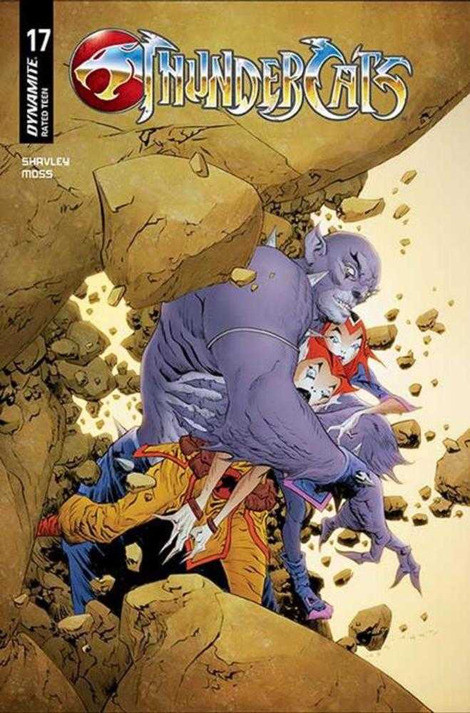 Thundercats (2024) #17 Cover C Jae Lee June Chung Variant