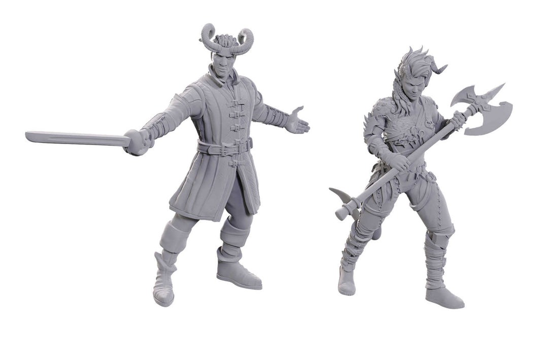 Dungeons & Dragons  Nolzurs Minis Baldurs Gate 3 Wyll & Karlach