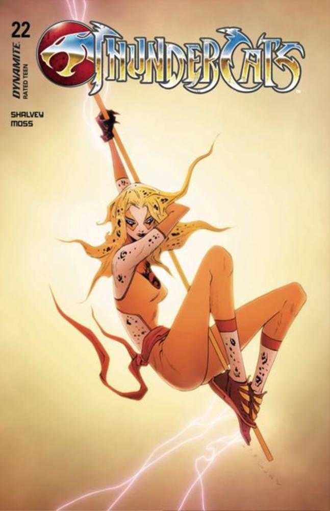 Thundercats (2024) #22 Cover C Jae Lee Variant