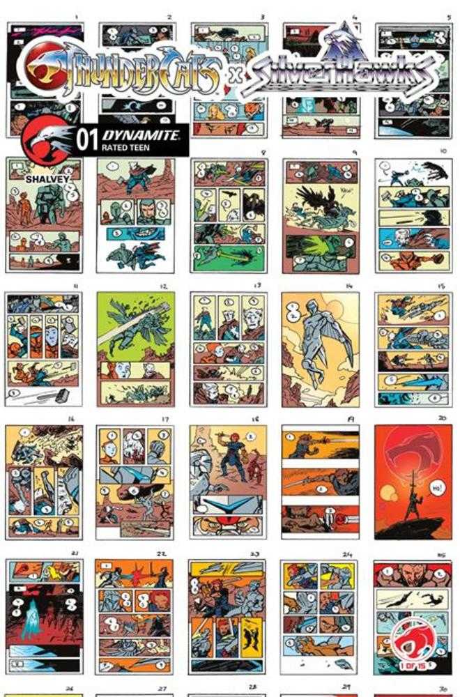 Thundercats X Silverhawks #1 Cover I (1:10) Declan Shalvey Layouts Variant