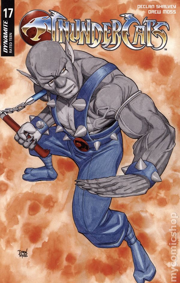 Thundercats (2024) #17 Cover D Drew Moss Variant