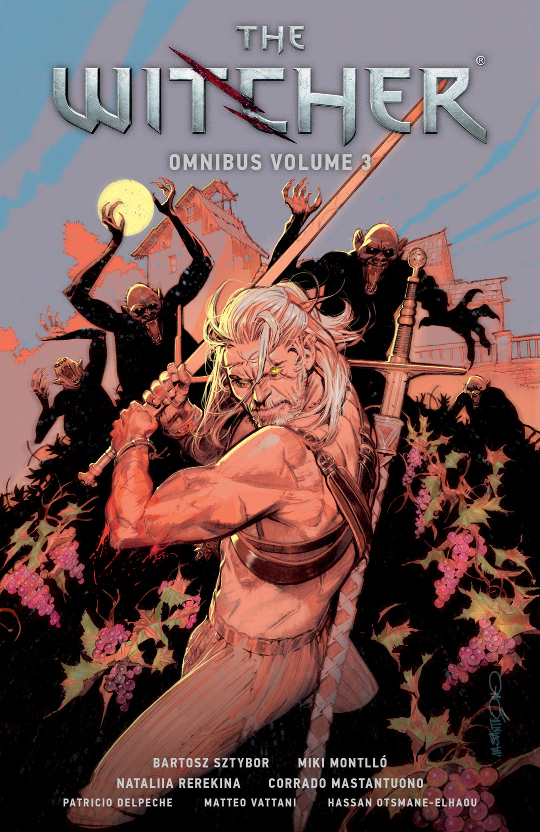 Witcher Omnibus Volume 03