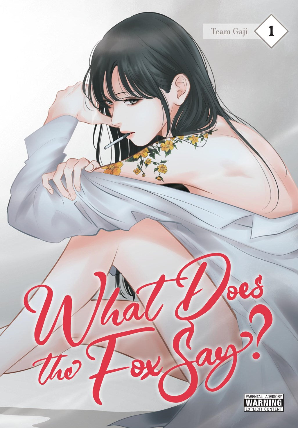 Graphic Novels
