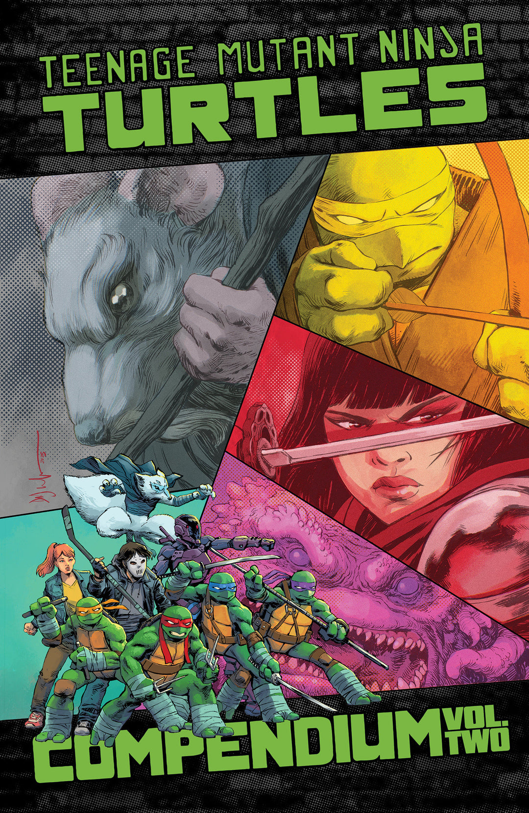 Teenage Mutant Ninja Turtles Ongoing Compendium Volume 02
