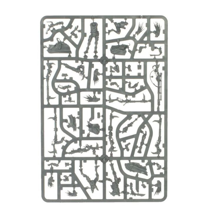 Warhammer 40k: Kroot - Combat Patrol