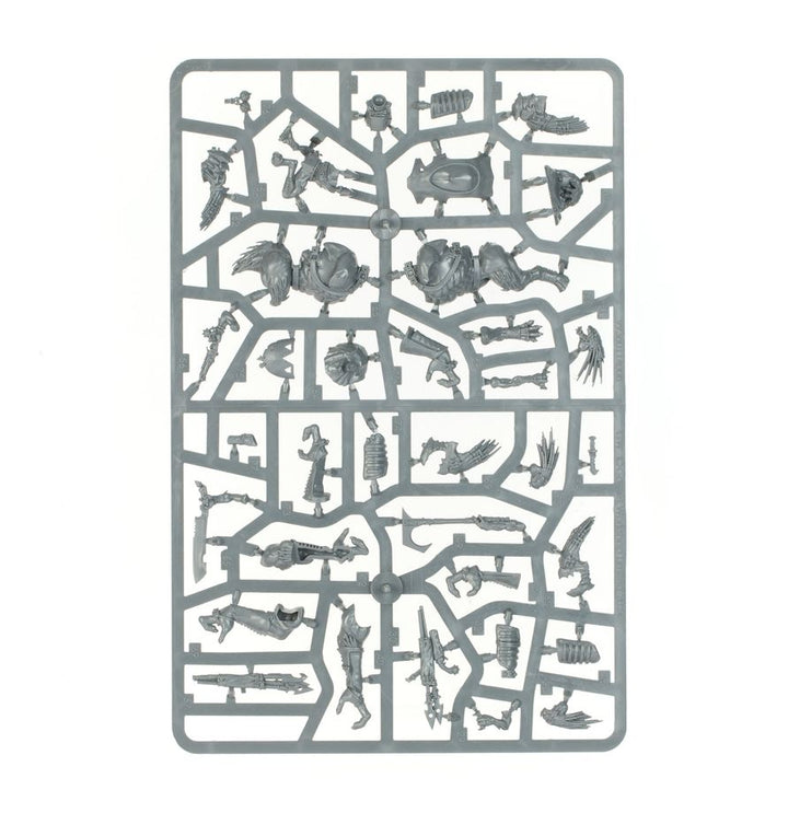 Warhammer 40k: Kroot - Combat Patrol