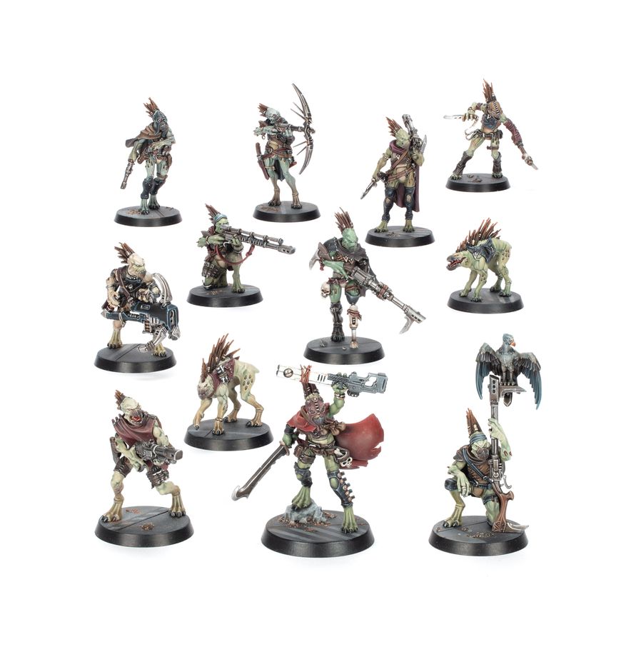 Warhammer 40k: Kroot - Combat Patrol