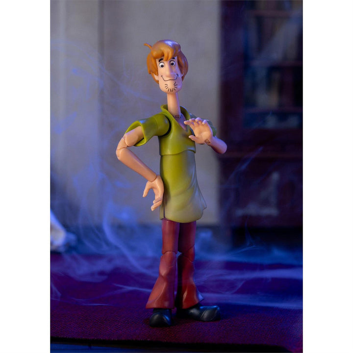 Scooby Doo: Wave 1 - Shaggy (Action Figure)