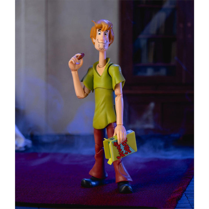 Scooby Doo: Wave 1 - Shaggy (Action Figure)