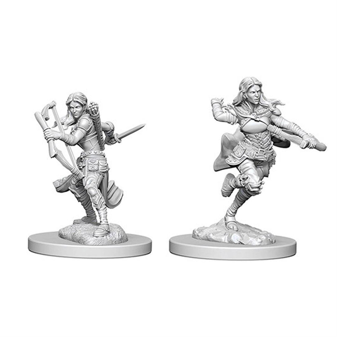 D&D Nolzur's Marvelous Miniatures: Air Genasi Female Rogue
