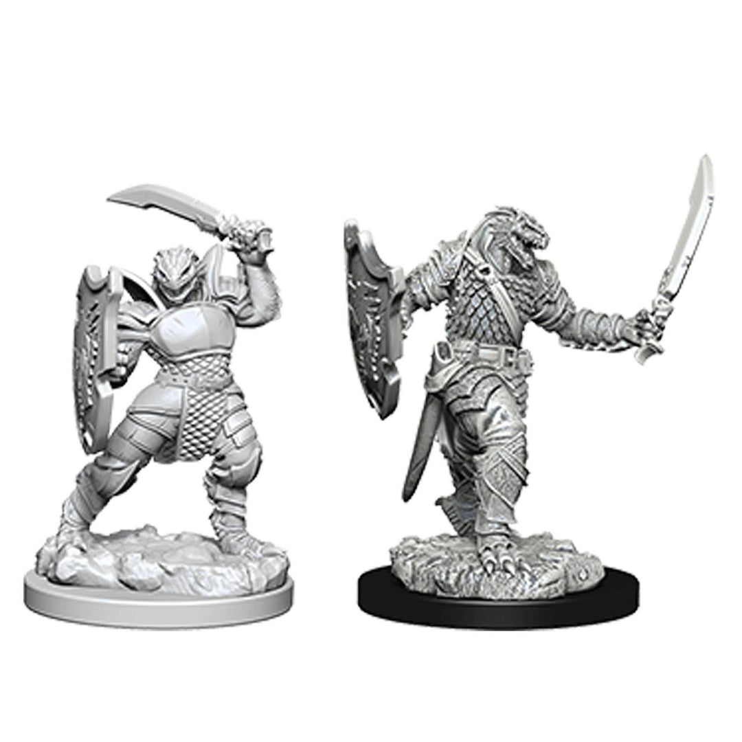 D&D Nolzur's Marvelous Miniatures: Dragonborn Female Paladin