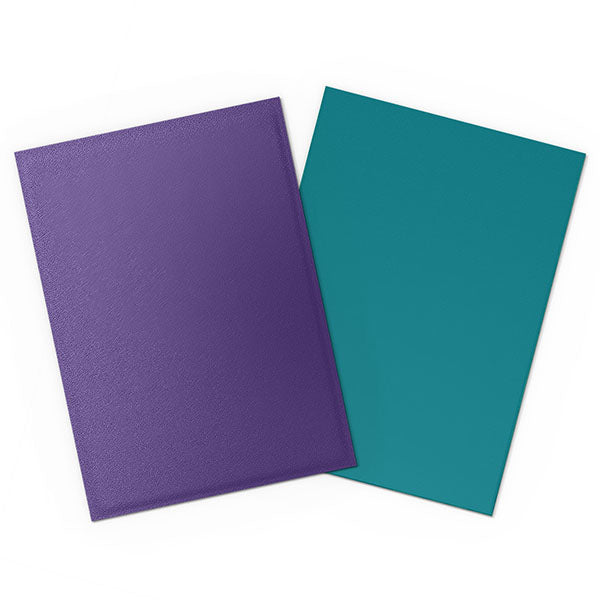 Dragon Shield: Sleeves (100)