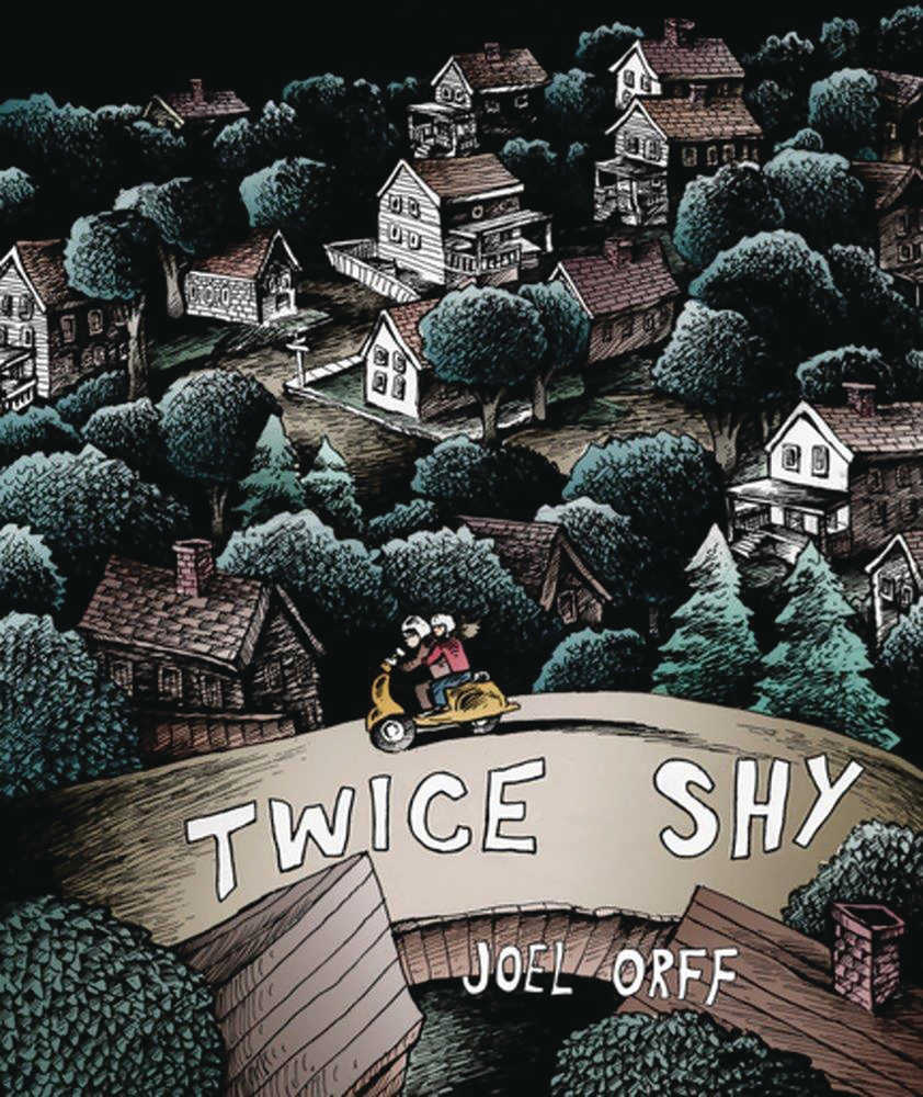 Twice Shy Graphic Novel