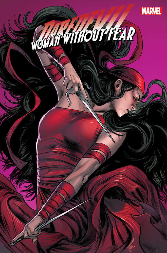 Daredevil Woman Without Fear #3 (Of 3) Carnero Stormbreakers