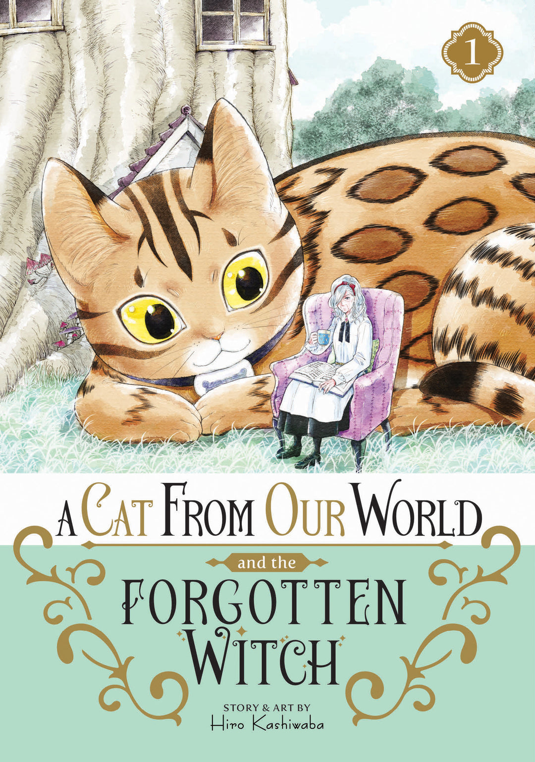 A Cat From Our World And The Forgotten Witch Graphic Novel Volume 01