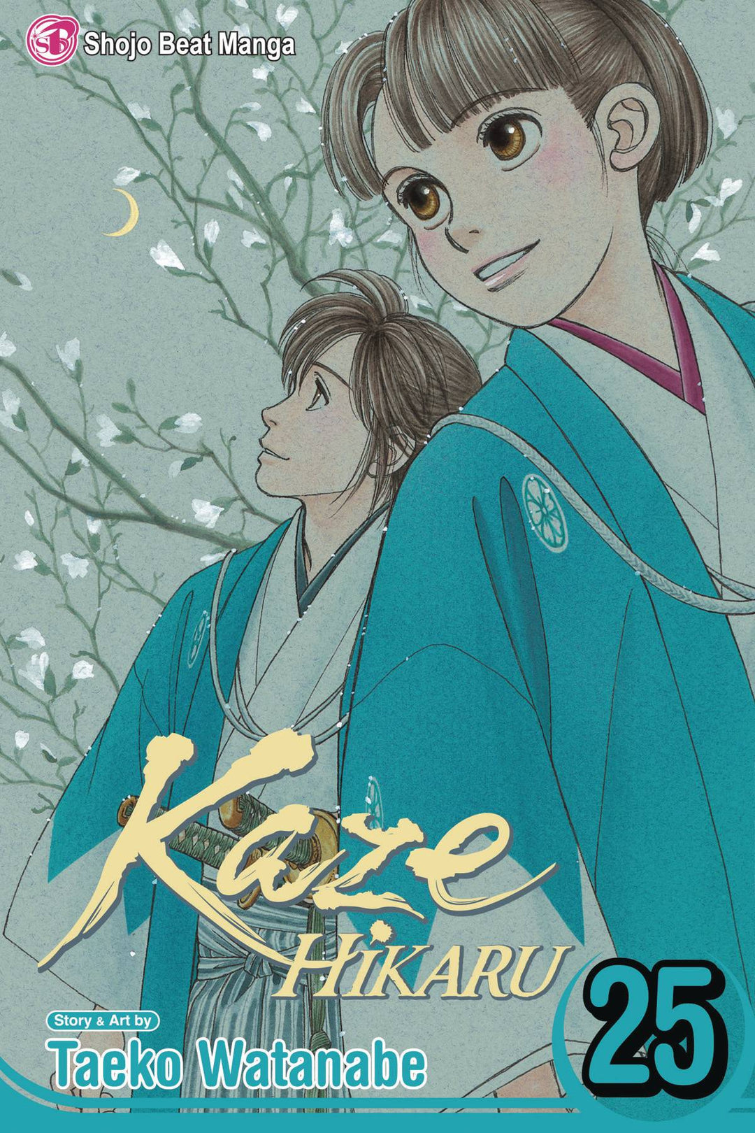 Kaze Hikaru Graphic Novel Volume 25